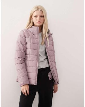 Dare 2b Wander Waterproof Jacket - Purple