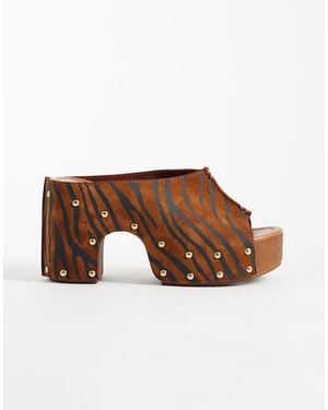ASOS Hadley - Bruin