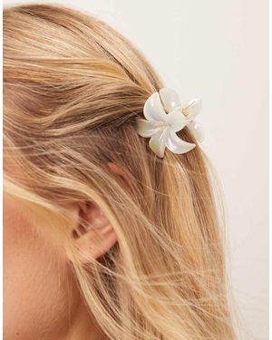 SUI AVA Plumeria - Marrone