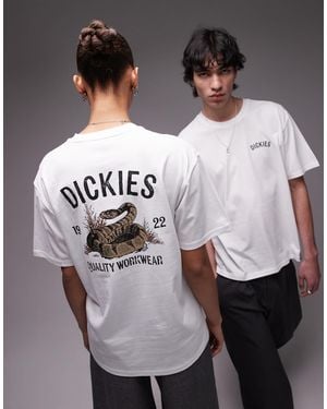 Dickies Snake Graphic Back Print T-shirt - Gray
