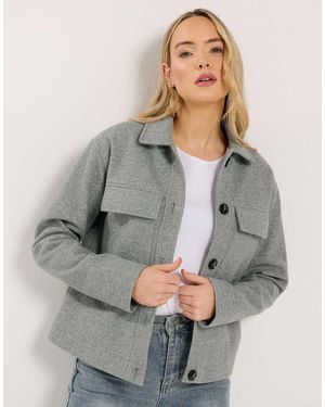 Long Tall Sally Brushed Trucker Jacket - Grey