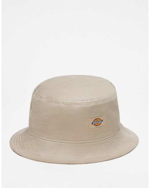 Dickies Clarks Grove - Neutro