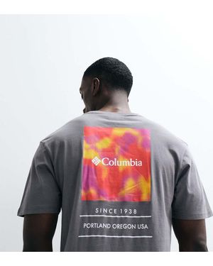 Columbia Barton Springs Iii Graphic T-shirt - Grey