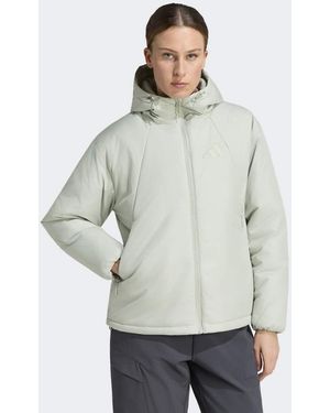 adidas Originals Terrex Multi Primaloft Insulated Hooded Jacket - Grey