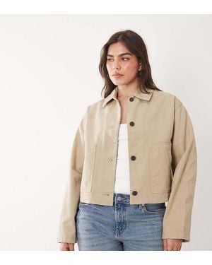 ASOS Asos Design Curve Short Cotton Harrington Jacket - Natural