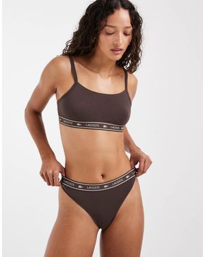Lacoste – tanga - Braun