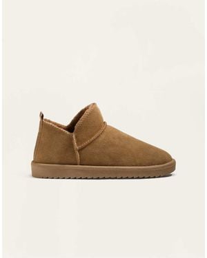 Oysho Leather Ankle Boots - Brown