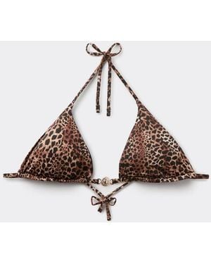 Tezenis Savage Sun Bikini Top - Brown