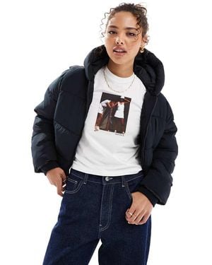 Hollister Everyday - Blu