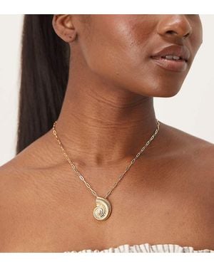 Orelia Gold Plated Statement Shell Necklace With Pearl - Brown