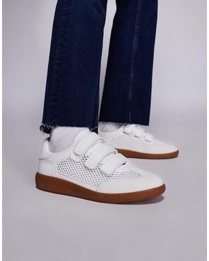 Steve Madden Momentum Velcro Trainers - Blue