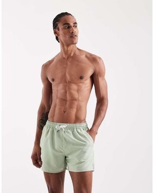 Aray Pantaloncini Da Bagno Salvia - Verde