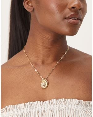 Orelia Collier en plaqué or avec coquillage et perle - or pâle - Marron