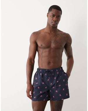 New Look Flamingo Print Swim Shorts - Blue