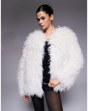 The Frolic Exclusive Oversized Mongolian Faux Fur Jacket - Gray