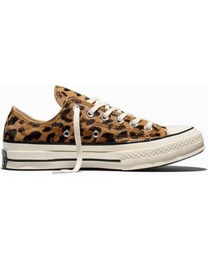 Converse Chuck 70 Sneakers Met Luipaardprint Van Ponyhaar - Wit