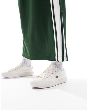 Lacoste Backcourt 124 1 cfa - baskets - taupe - Vert