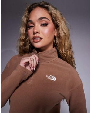 The North Face Glacier 1/4 Zip Cropped Fleece - Brown