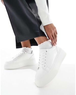 ASOS – dream – sneaker - Schwarz