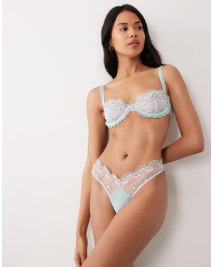Wild Lovers Mila Embroidered Bow Lace Lingerie Thong - Brown