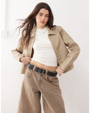 Dickies Cropped Eisenhower Jacket - Natural