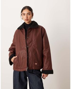Dickies Decherd - Marrone
