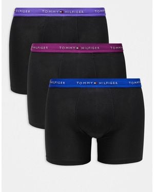 Tommy Hilfiger Essentials - lot - Bleu