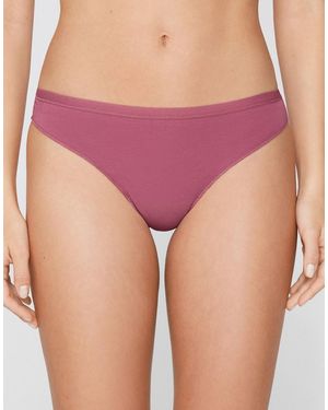 Tezenis Plain Colour Cotton Brazilian Briefs - Purple