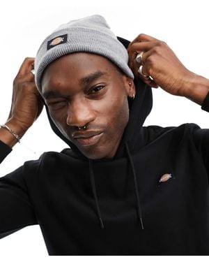 Dickies Gibsland beanie - Braun
