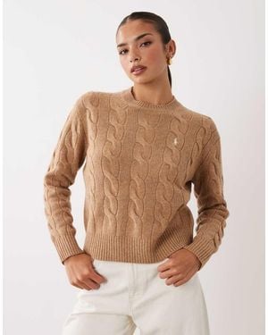 Polo Ralph Lauren Icon Logo Straight Fit Exploded Cable Knit Jumper - Multicolour