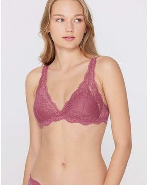 Tezenis Havana Lace Triangle Bra - Purple