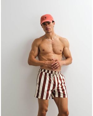 South Beach Stripe Swim Shorts - Multicolour