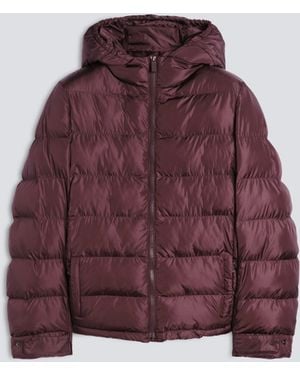 Aspesi Gestepptes Blouson Aus Nylon, Wattiert Mit Wattierung - Rot