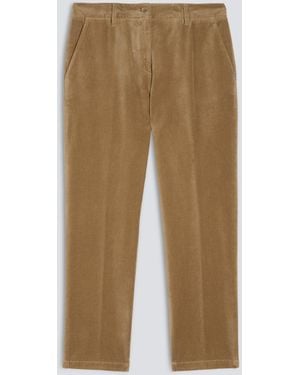 Aspesi Hose Aus Glattem Samt - Natur