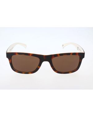 adidas Brown Acetate Sunglasses