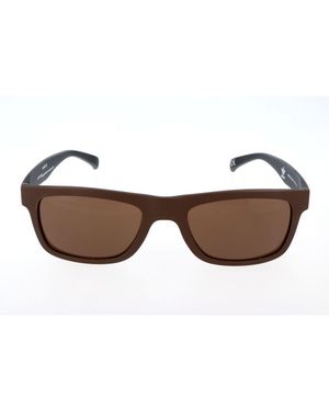 adidas Brown Acetate Sunglasses