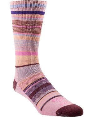 FARM TO FEET Ithaca Multi Stripe Sock - Purple