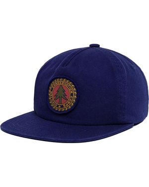 Parks Project Vintage Tree Patch Hat - Blue