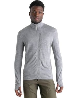 Icebreaker Merino 260 Quantum Long-Sleeve Zip Top - Gray