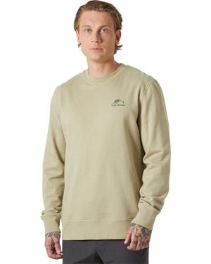 Helly Hansen Nord Graphic Crew Sweatshirt - Green