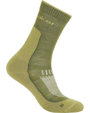 Icebreaker Merino Hike+ Light Crew Sock - Green