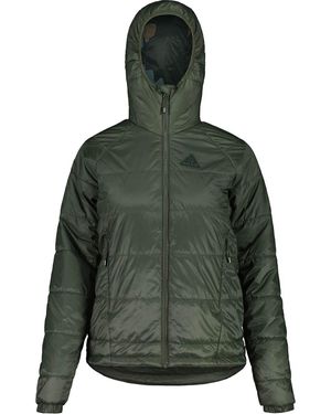 Maloja Chrysanthenumm Jacket - Green