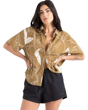 Roark Bless Up Short-Sleeve Top - Brown