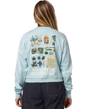 Parks Project Forest Forager Cropped Crew Sweatshirt - Gray