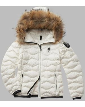 Blauer Aldie - Grijs