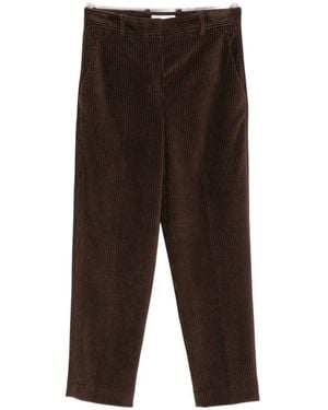 Circolo 1901 Cotton Carrot Pants - Brown