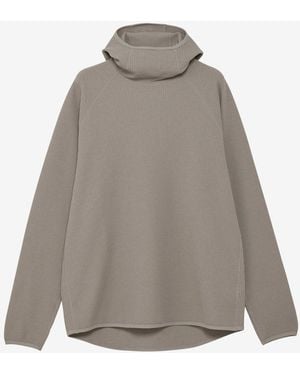 Goldwin Wf Light L/S Hoodie - Gray