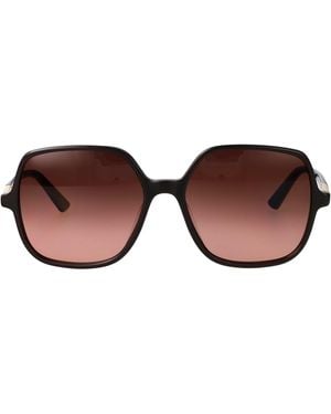 Chloé Copper Acetate Sunglasses - Brown