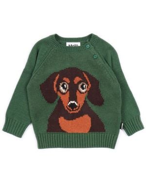 Molo Bless Sweaters - Green