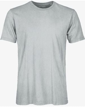 COLORFUL STANDARD Colorido tee orgánico clásico estándar - Gris
